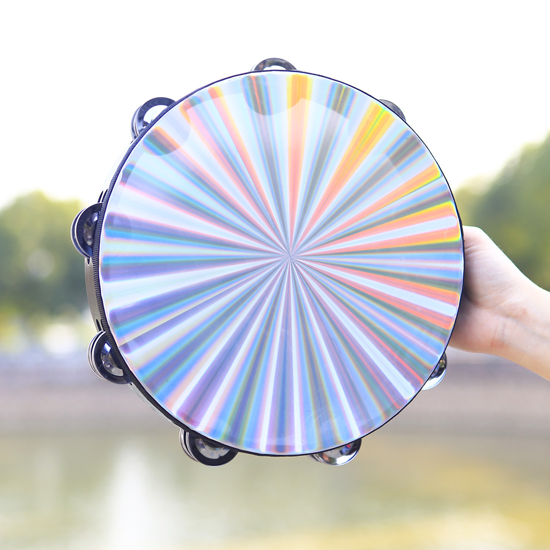 10 Inch Tambourine Hand Crank  - Musical Instrument Art 评论和价格