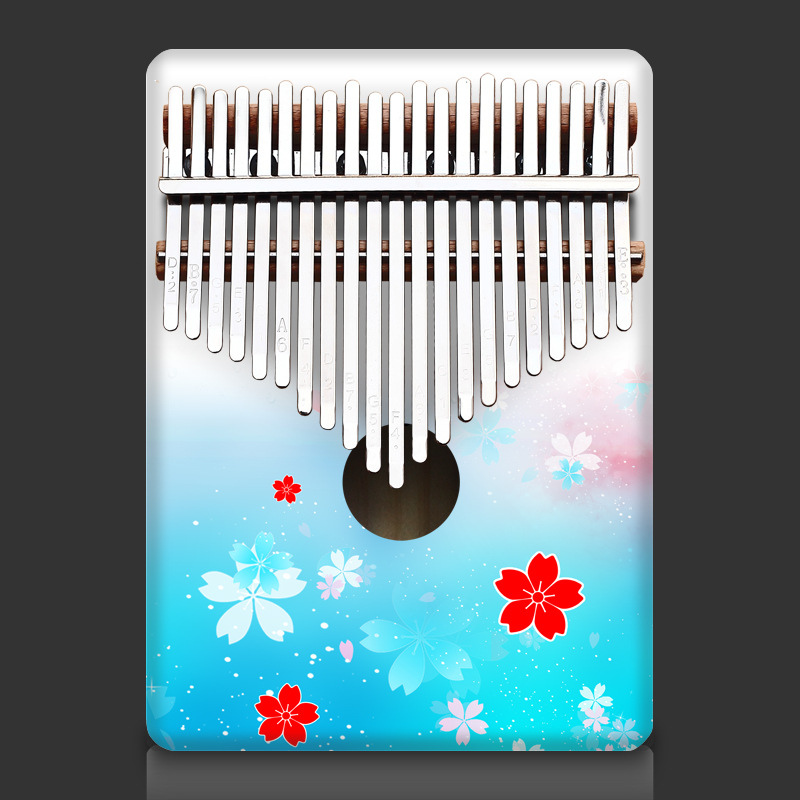 Colorful 21 Key Kalimba Kids C - Musical Instrument For Beginners 评论和价格