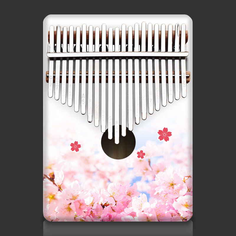 Colorful 21 Key Kalimba Kids C - Musical Instrument For Beginners 评论和价格