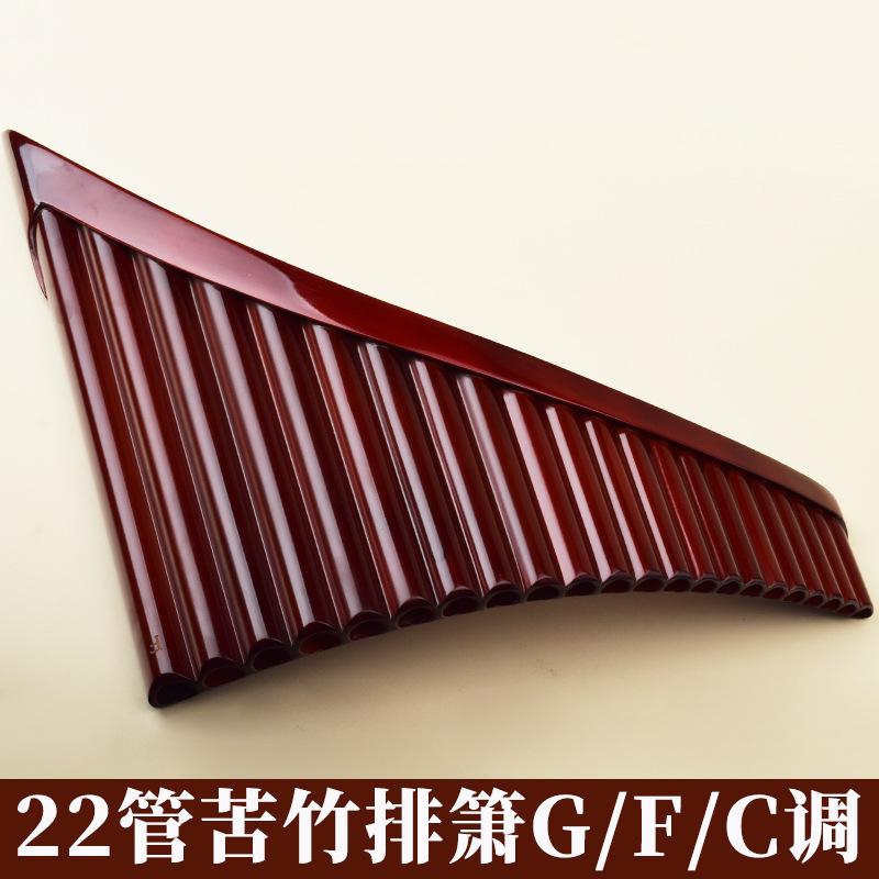 Pan Flute 22 Pipes, High-Quali - Musical Instrument For Beginners 评论和价格